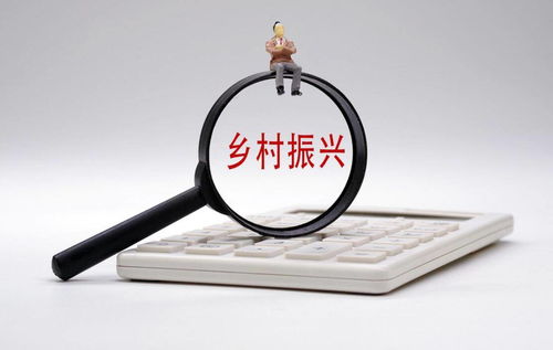 打通金融“最后一公里”，以多元服務賦能鄉村振興